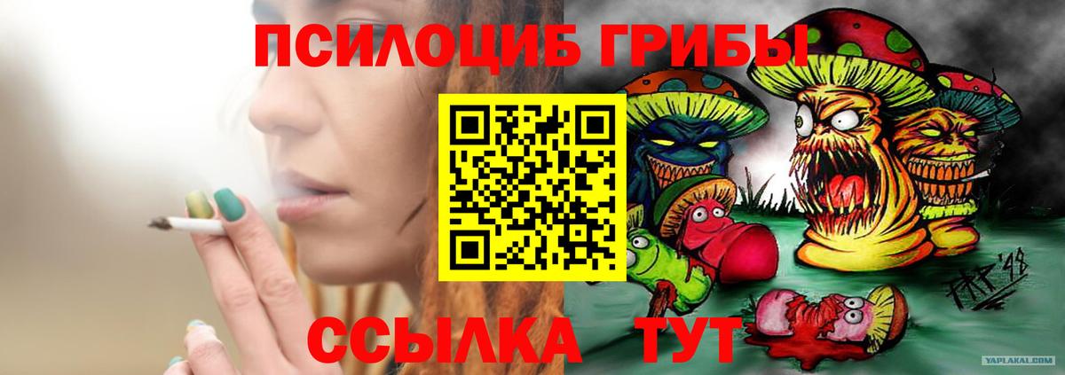 Галлюциногенные грибы GOLDEN TEACHER  Вход с VPN  Галлюциногенные грибы GOLDEN TEACHER  купить наркоту  Дмитров 
